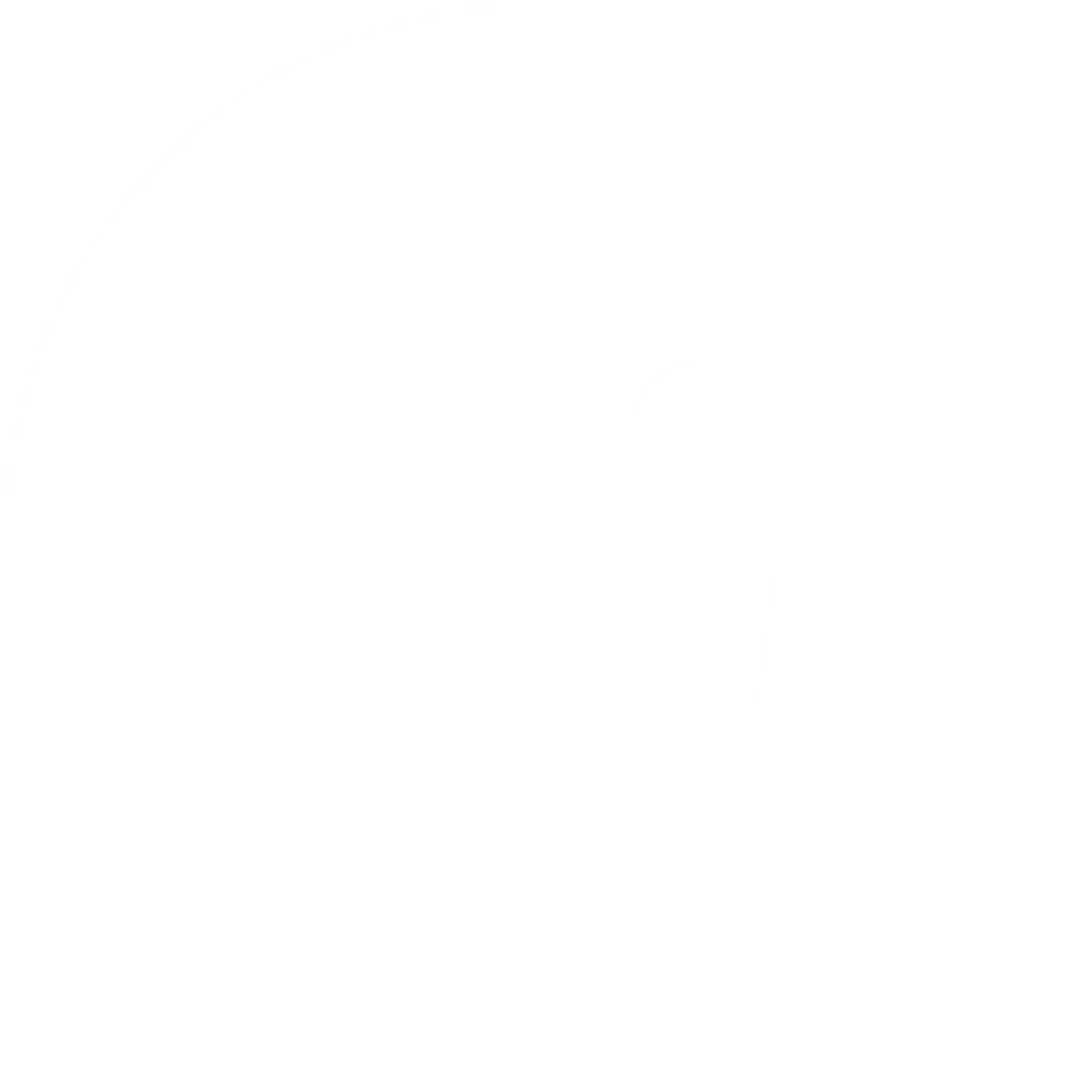 logo facebook blanc trans